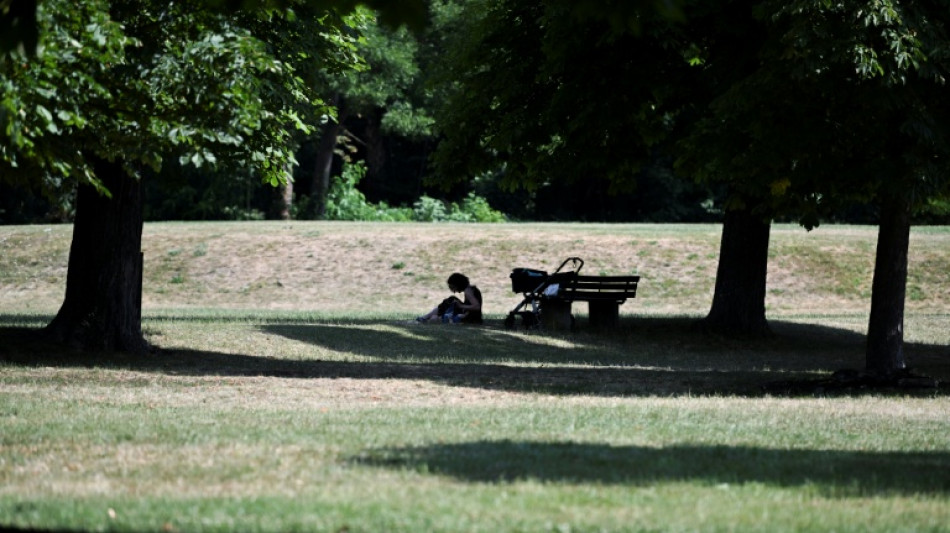Deutschland stöhnt unter Hitzewelle - bis zu 38 Grad erwartet