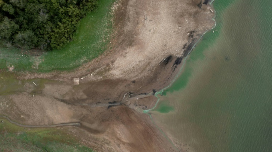 England's drought-hit summer 2022 joint hottest on record