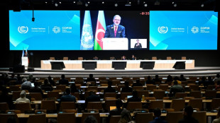 Espa&ntilde;a lamenta una falta de "ambici&oacute;n" en el borrador de acuerdo de la COP29