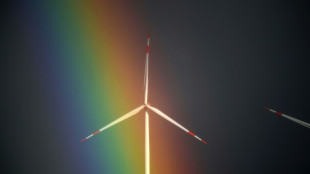 Umweltverb&auml;nde dringen vor G7-Ministertreffen auf mehr Tempo bei Energiewende