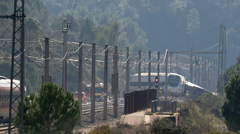 Catastrophe ferroviaire en Espagne: le roi et la reine sur les lieux 