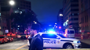 Dos empleados de embajada israel&iacute; en EEUU asesinados a tiros en Washington
