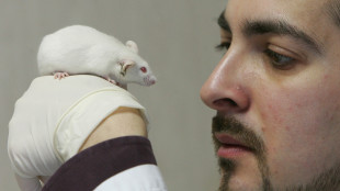 Trovata accoppiata vincente di farmaci, allunga la vita dei topi