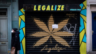 "Un march&eacute; assez chaotique": les boutiques de CBD dans le brouillard