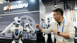Dancing isn't enough: industry pushes for practical robots