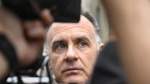 Orsini, 'termina il Pnrr, la manovra spinga sugli investimenti'