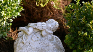 Sieben Prozent aller Todesf&auml;lle 2021 in Deutschland gehen auf Covid-19 zur&uuml;ck